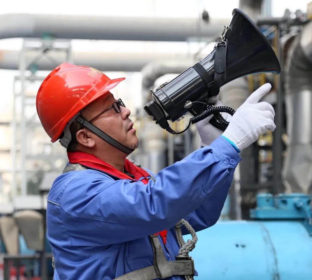 1611214311876447.jpeg 1611214311876447.jpeg