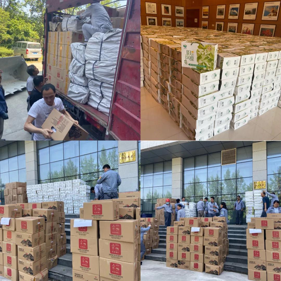 1631534642667294.jpeg 1631534642667294.jpeg