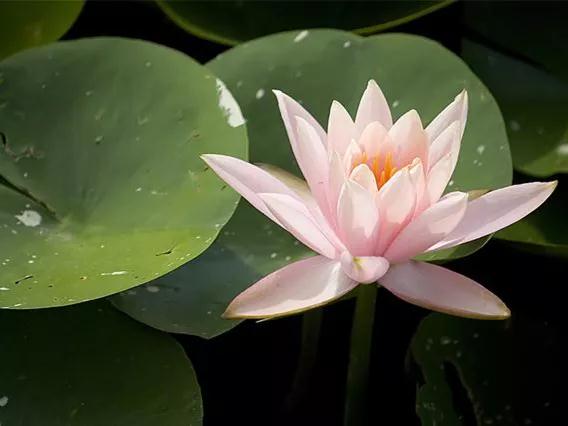 1638872773197046.jpeg 微信圖片_20211207182639.jpg