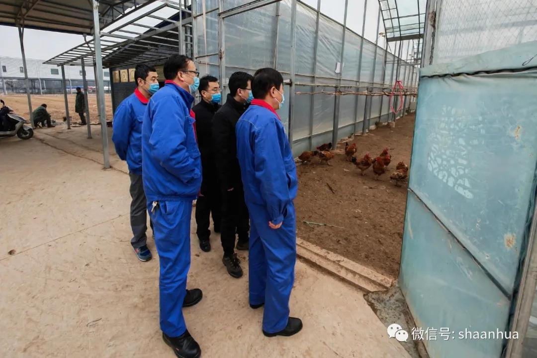 1642509875363427.jpeg 1642509875363427.jpeg