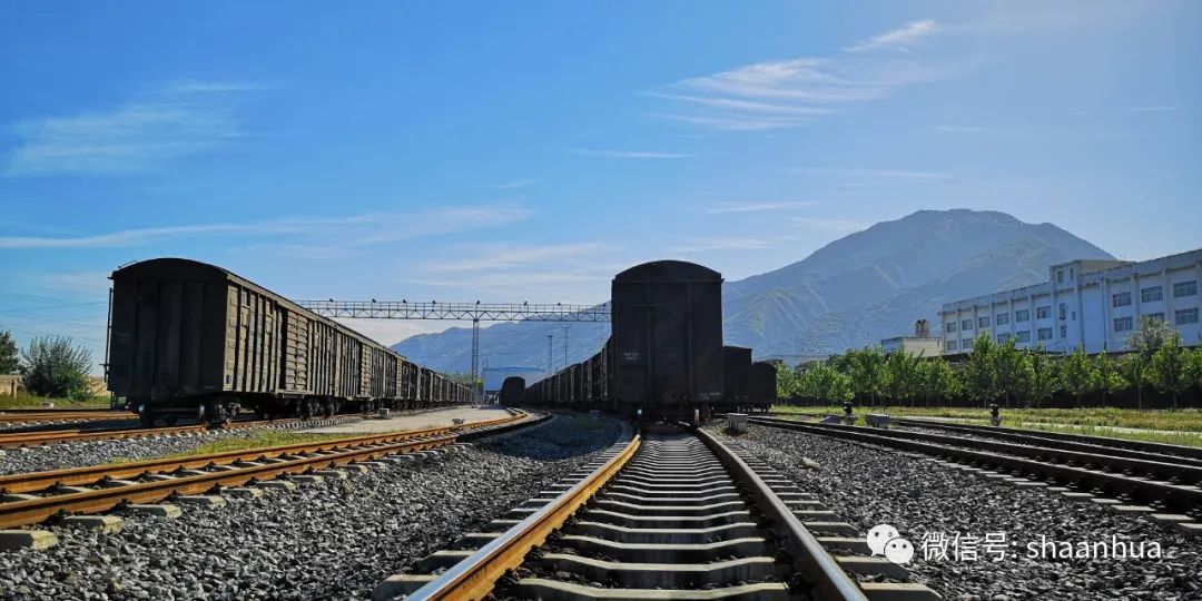 1646398025661899.jpeg 1646398025661899.jpeg