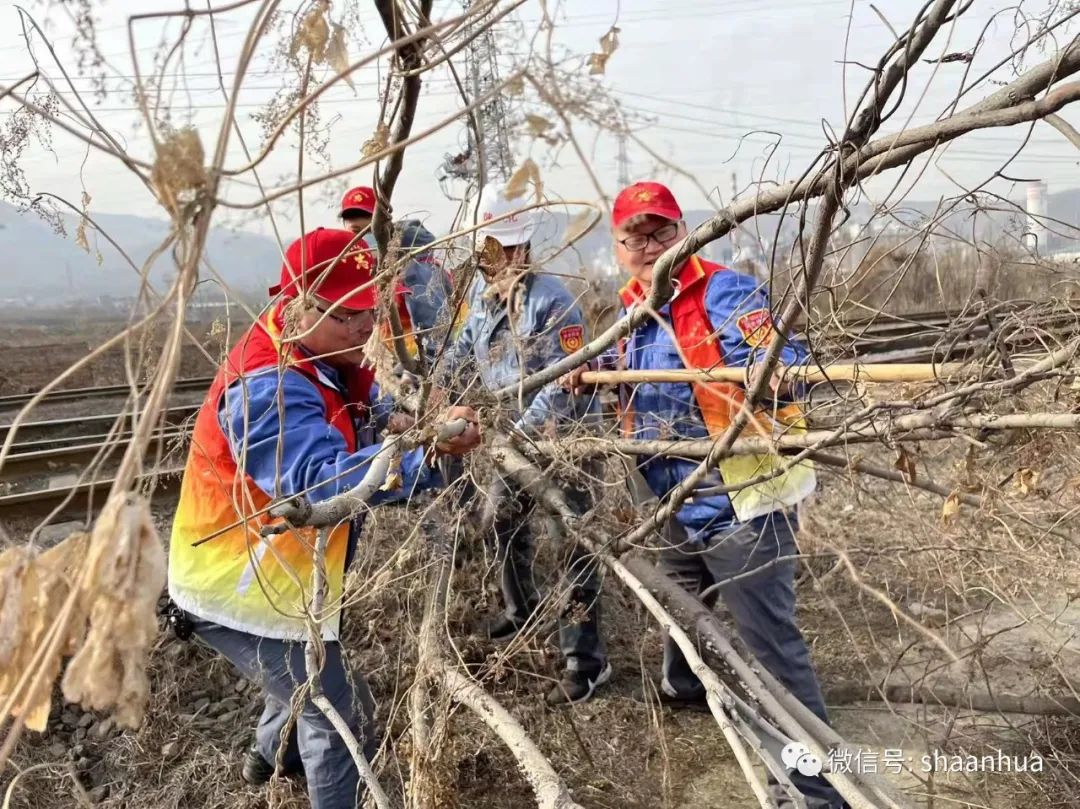 1646732907251506.jpeg 1646732907251506.jpeg