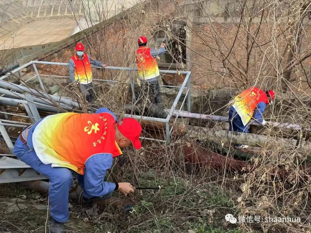 1646732907301877.jpeg 1646732907301877.jpeg