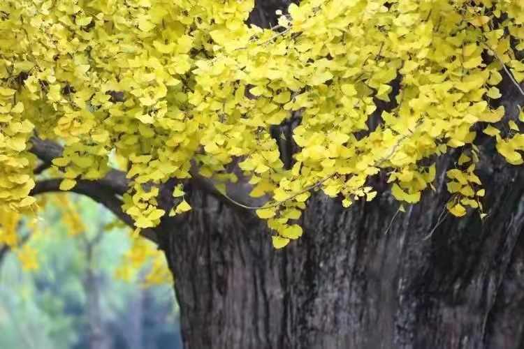 1647000278395568.jpeg 715e0779cc3f2dd1d9714276942a1f9.jpg