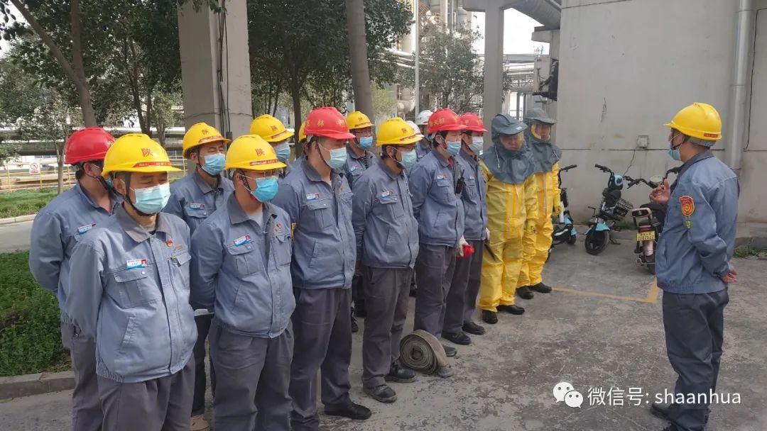 1647512915113816.jpeg 1647512915113816.jpeg