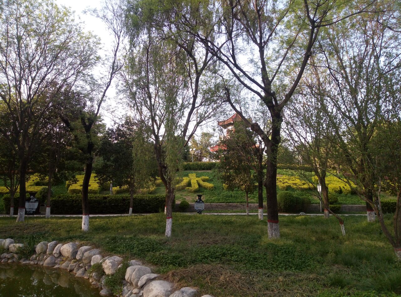 1649902369221683.jpeg 1649902369221683.jpeg