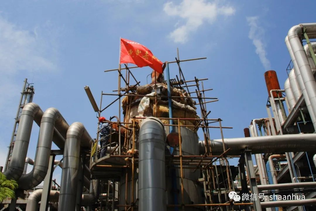 1656678154263836.jpeg 1656678154263836.jpeg