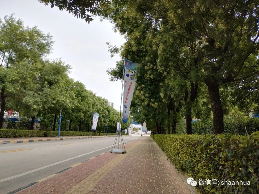 1657850117847008.jpeg 1657850117847008.jpeg