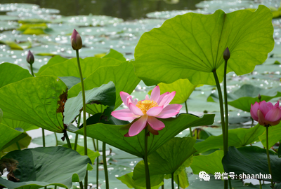 1658368420296493.png 1658368420296493.png