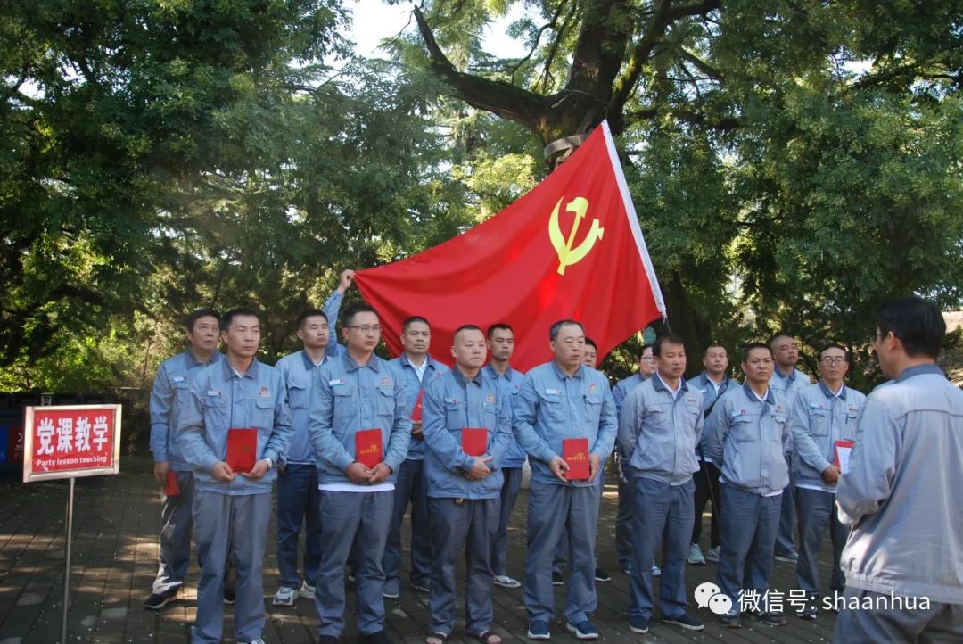 1659013731862573.jpeg 1659013731862573.jpeg