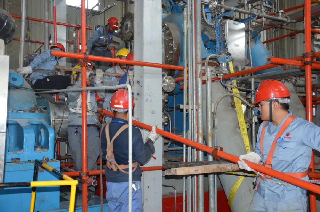 1675764343858583.jpeg 1675764343858583.jpeg