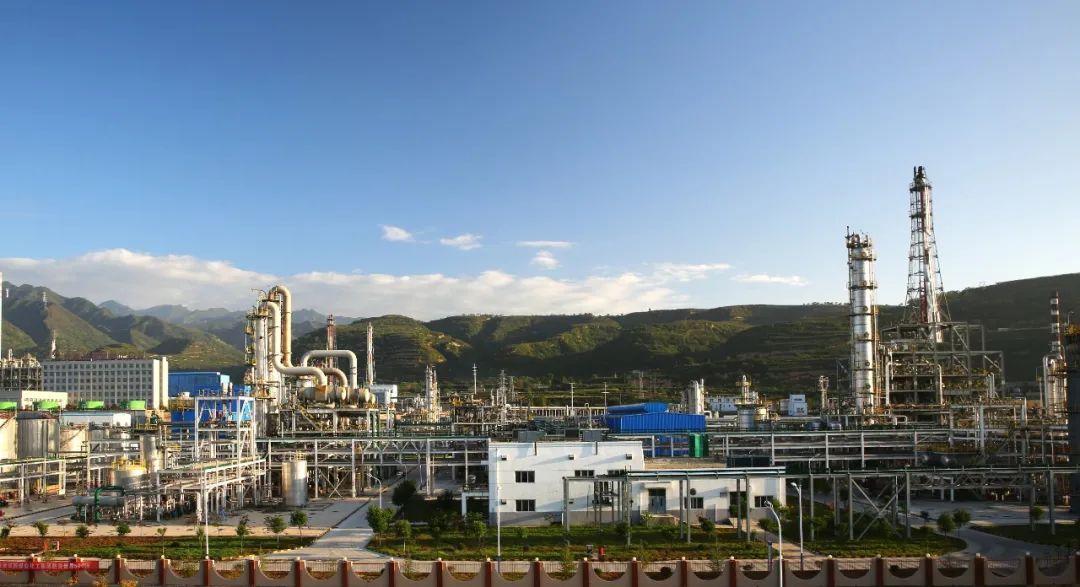 1678357581606567.jpeg 1678357581606567.jpeg