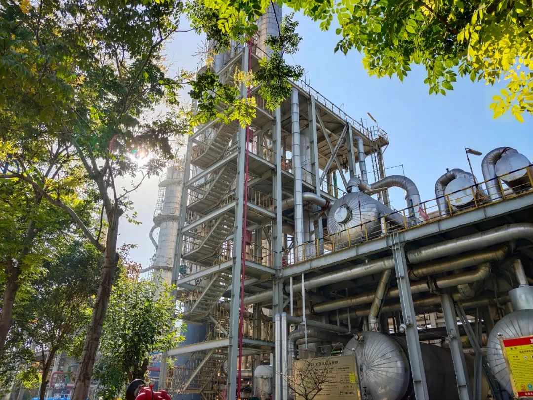 1680086258511752.jpeg 1680086258511752.jpeg