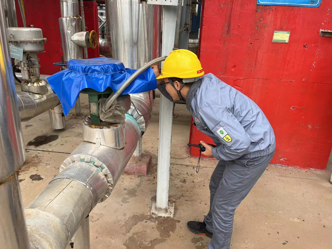 1697109953369716.jpeg 1697109953369716.jpeg