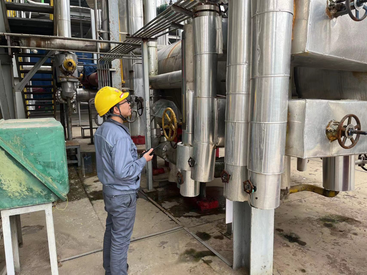 1697109962648227.jpeg 1697109962648227.jpeg