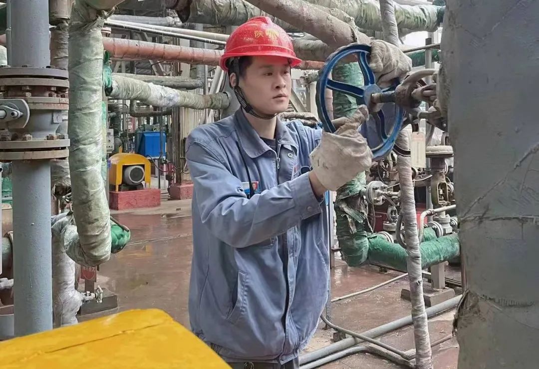 1697539967423985.jpeg 1697539967423985.jpeg