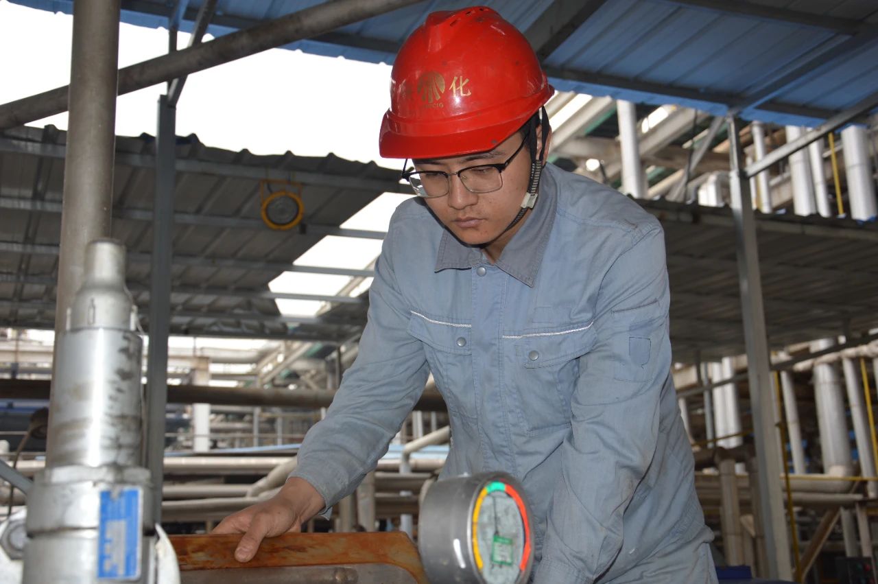 1697710932244658.jpeg 1697710932244658.jpeg