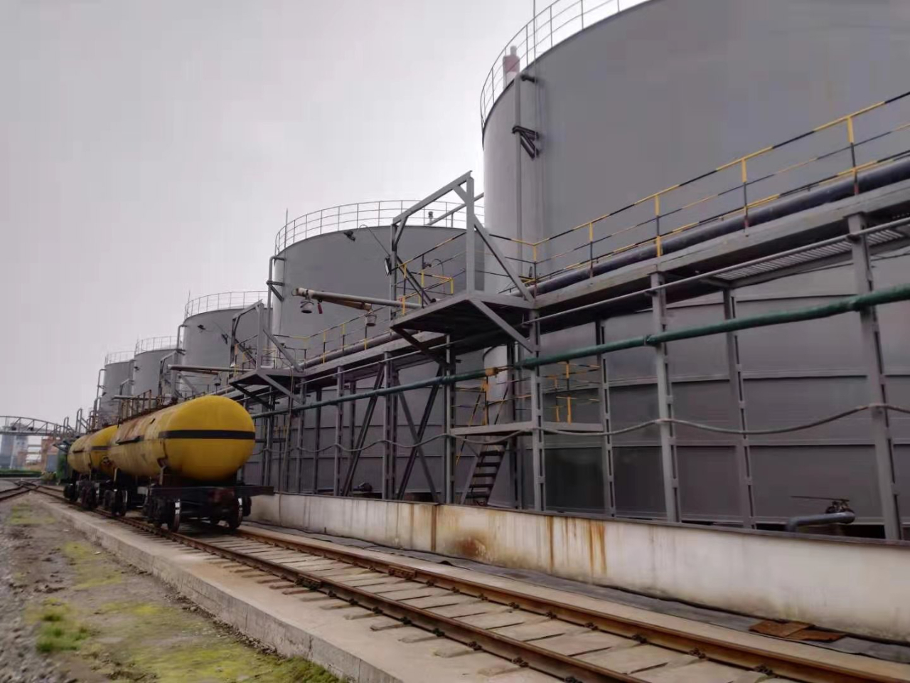 1700466931767943.jpeg 1700466931767943.jpeg