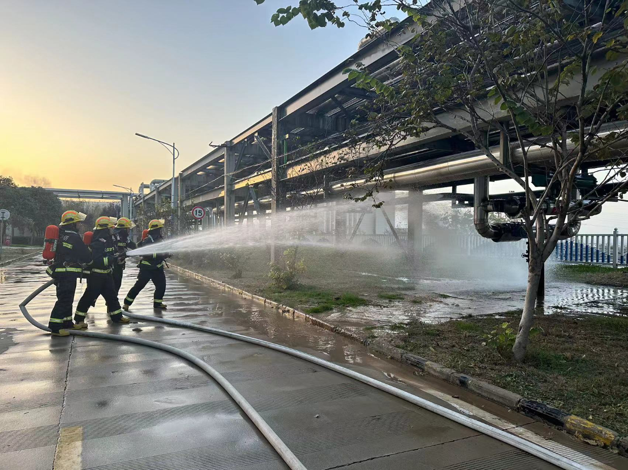 1701426407826404.jpeg 1701426407826404.jpeg