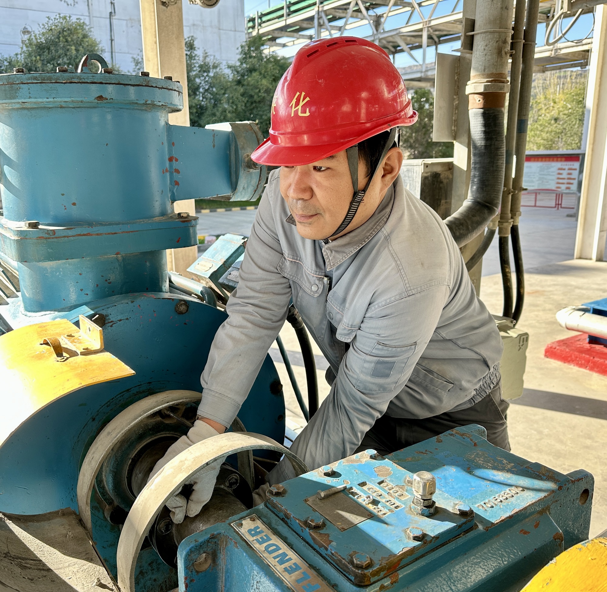 1732851388309218.jpeg 1732851388309218.jpeg