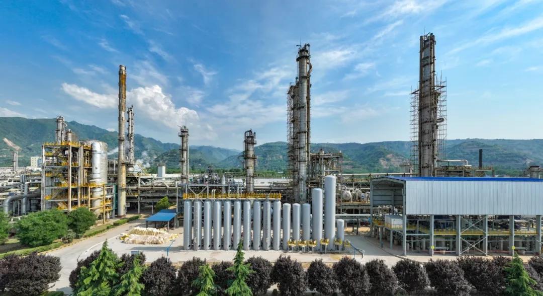 1747361100472465.jpeg 1747361100472465.jpeg