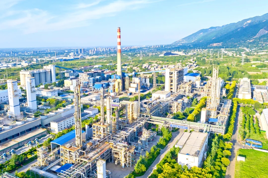 1750650186453263.jpeg 1750650186453263.jpeg