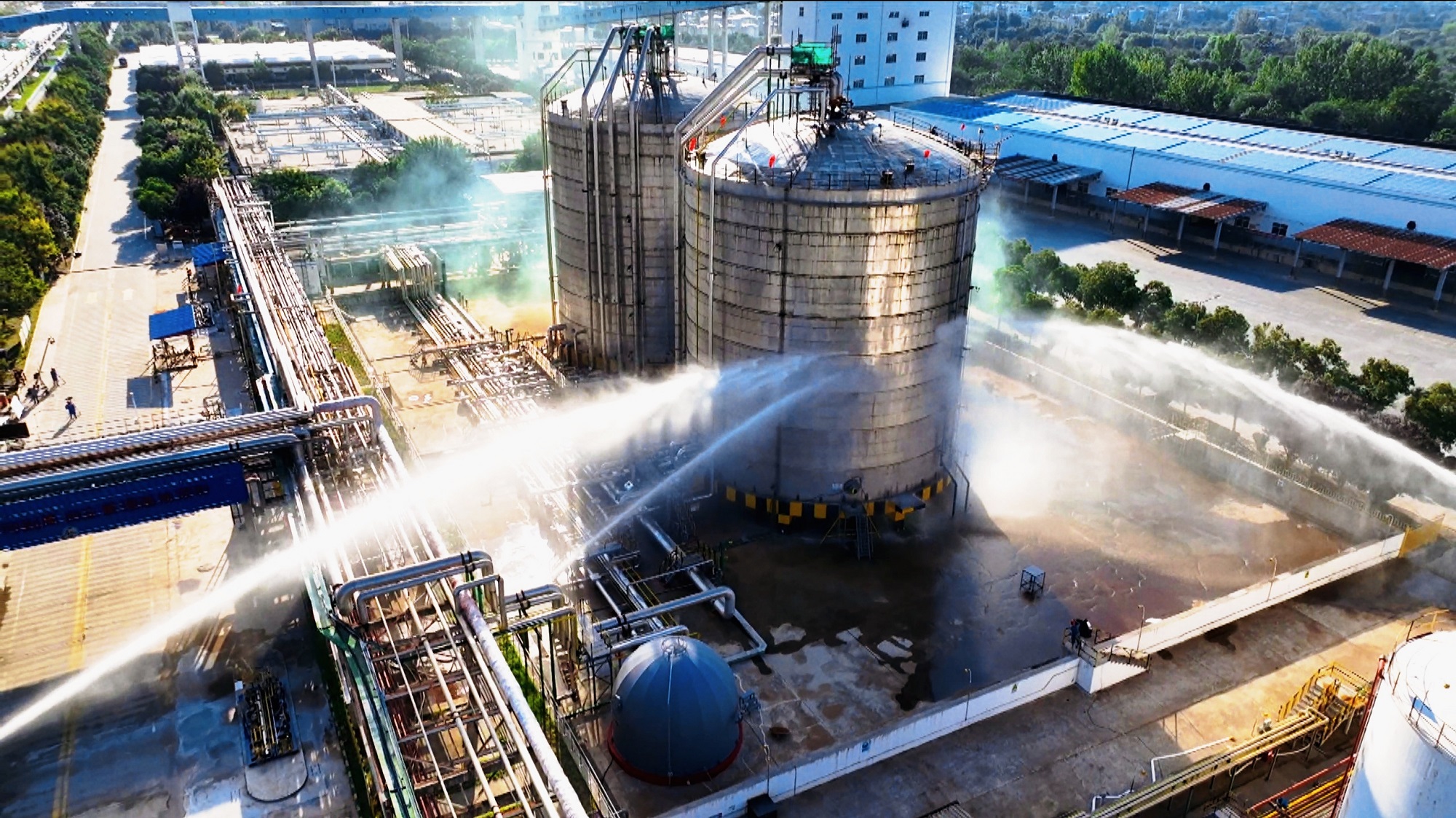 1757982834579942.jpeg 1757982834579942.jpeg